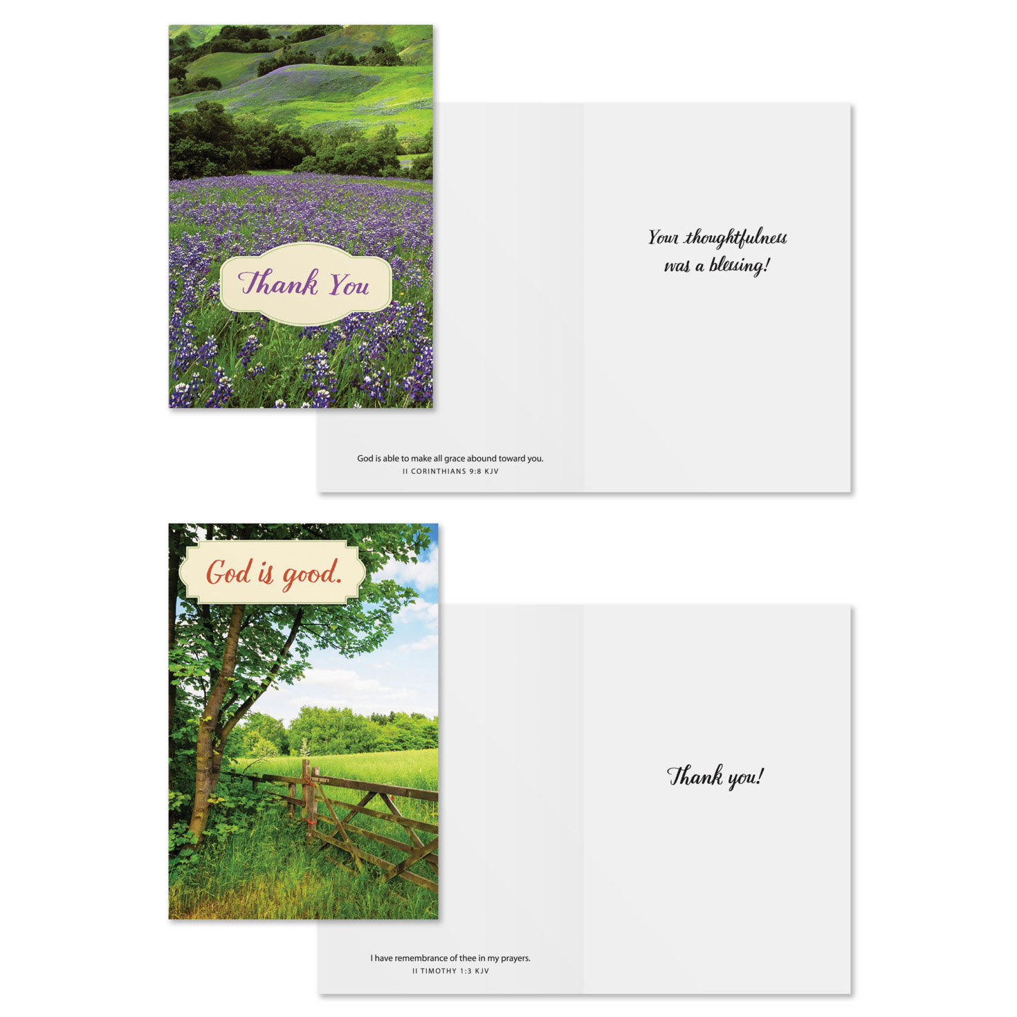 Landscapes DaySpring Thank You Cards Assortment Card Front with Sentiment image number 3