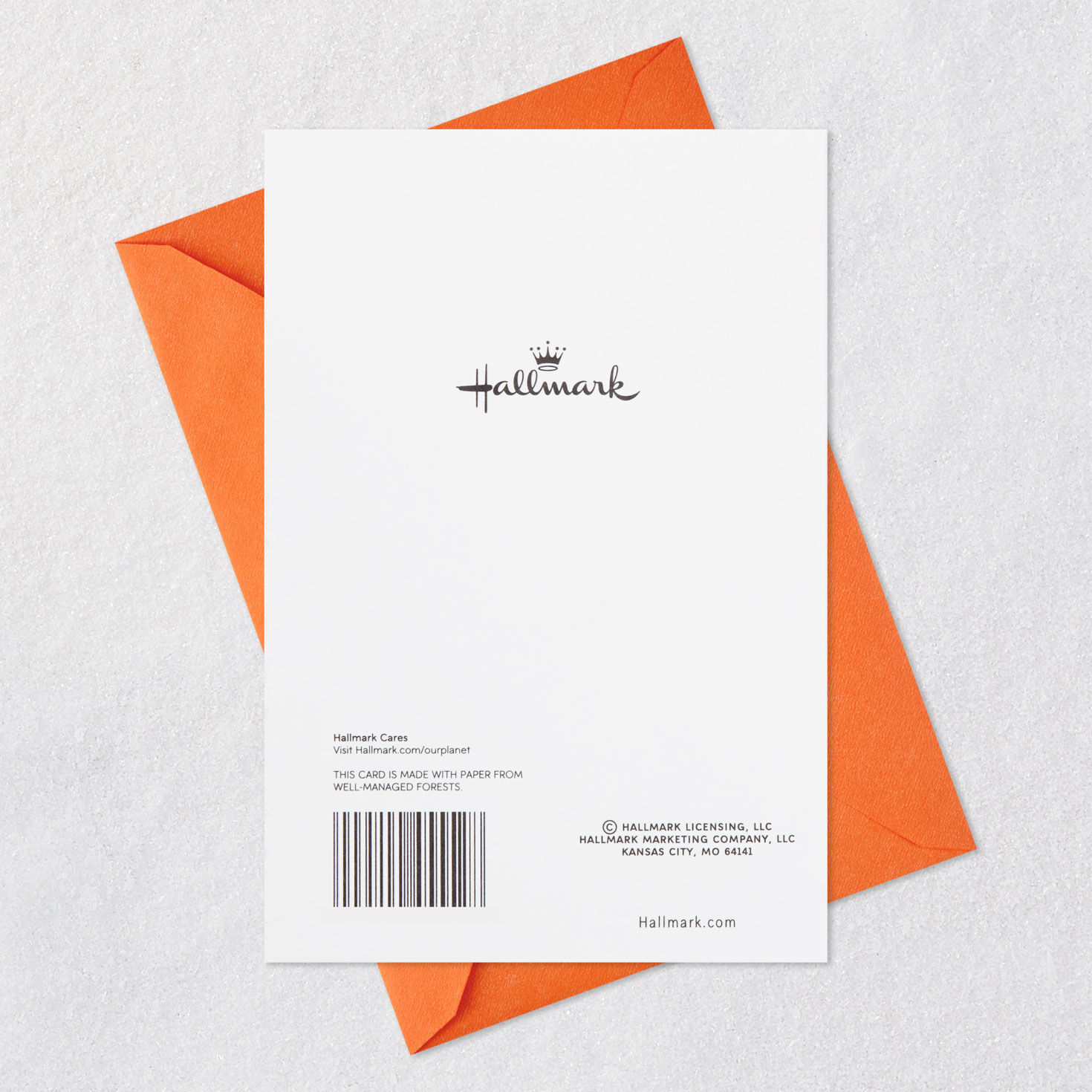 Birds in Party Hats Happy Birthday Card Card Back with Envelope image number 7