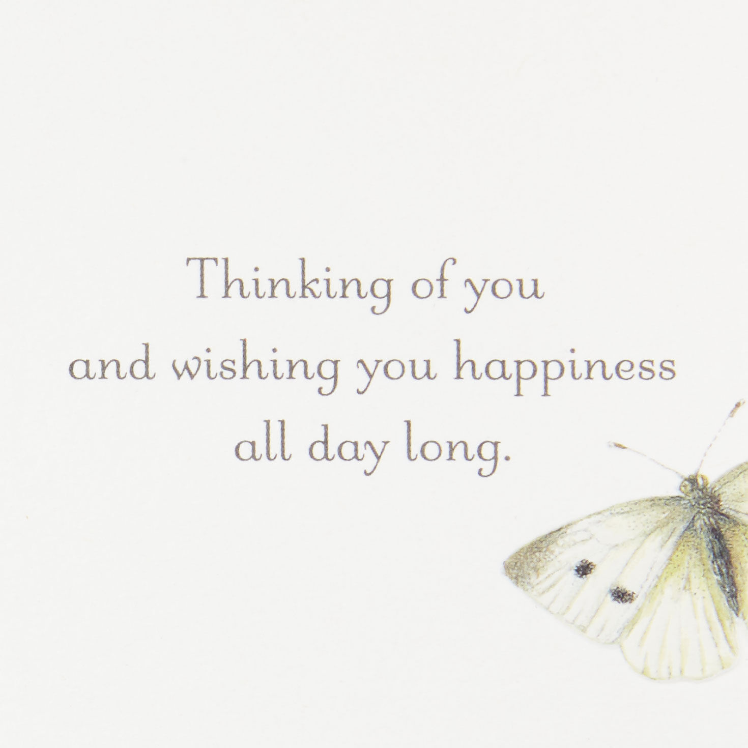 Marjolein Bastin Sweet Moments Birthday Card, , large image number 2