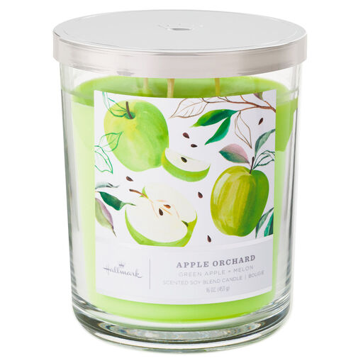 Apple Orchard 3-Wick Jar Candle, 16 oz., 