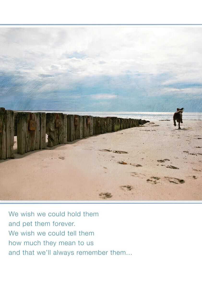 Dog Running on Beach Loss of Pet Card