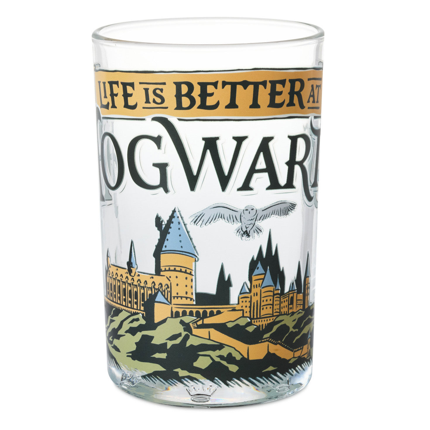 Harry Potter™ Hogwarts™ Collectible Drinking Glass, 13.5 oz.