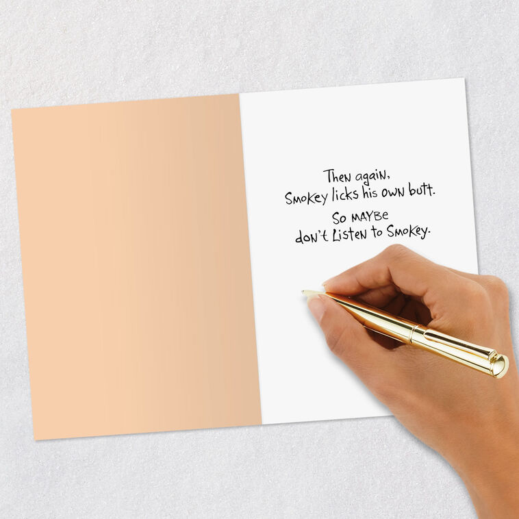 Mean Gray Cat Funny Birthday Card Signing card image number 6