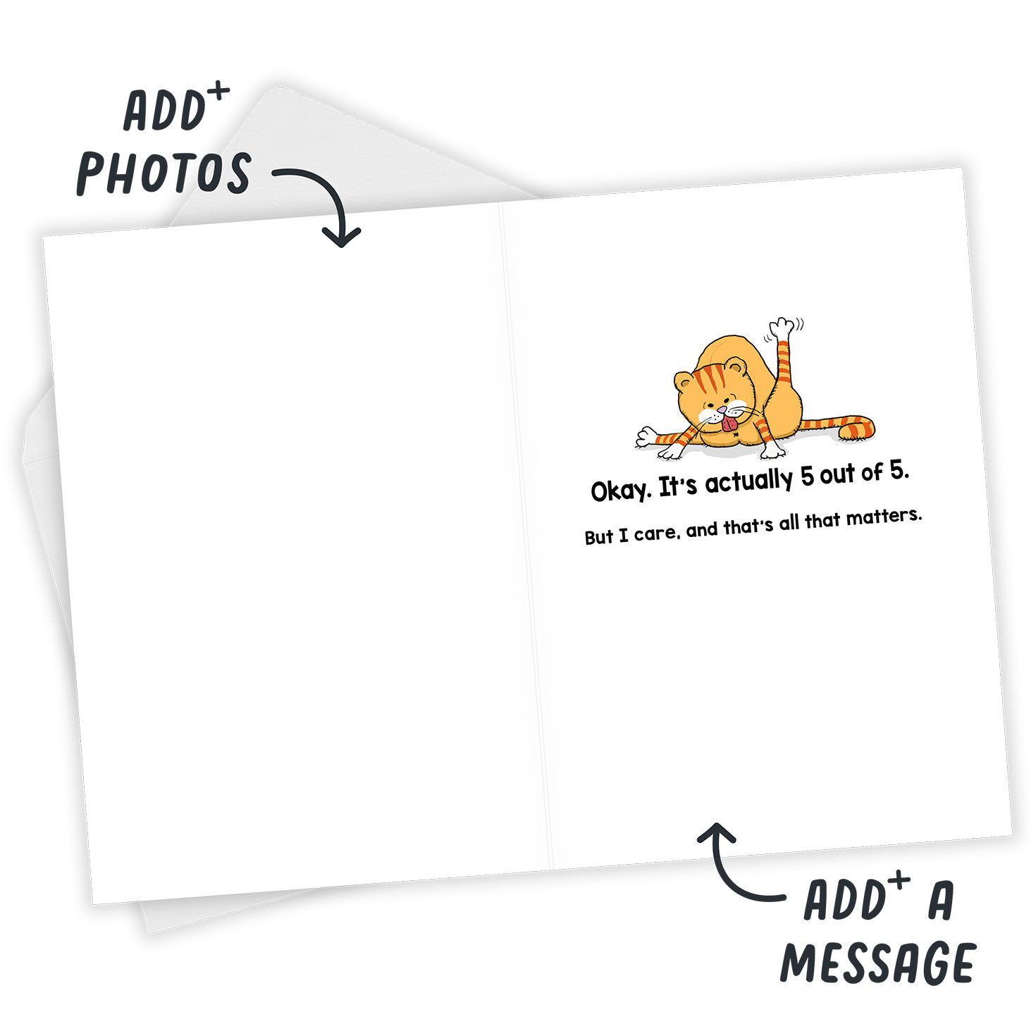 Cats Don't Care Funny Custom Birthday Card, , large image number 3