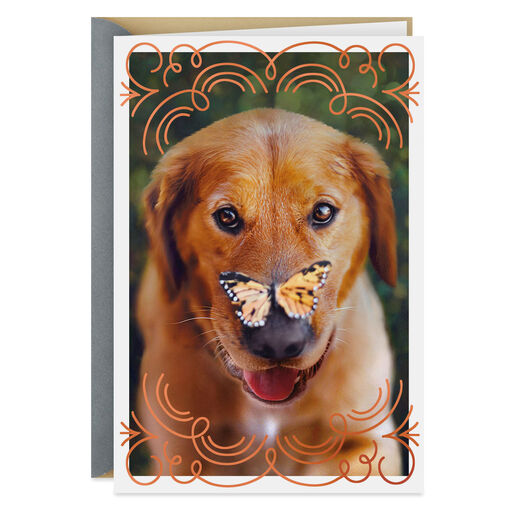 Dog and Butterfly Friendship Card, 