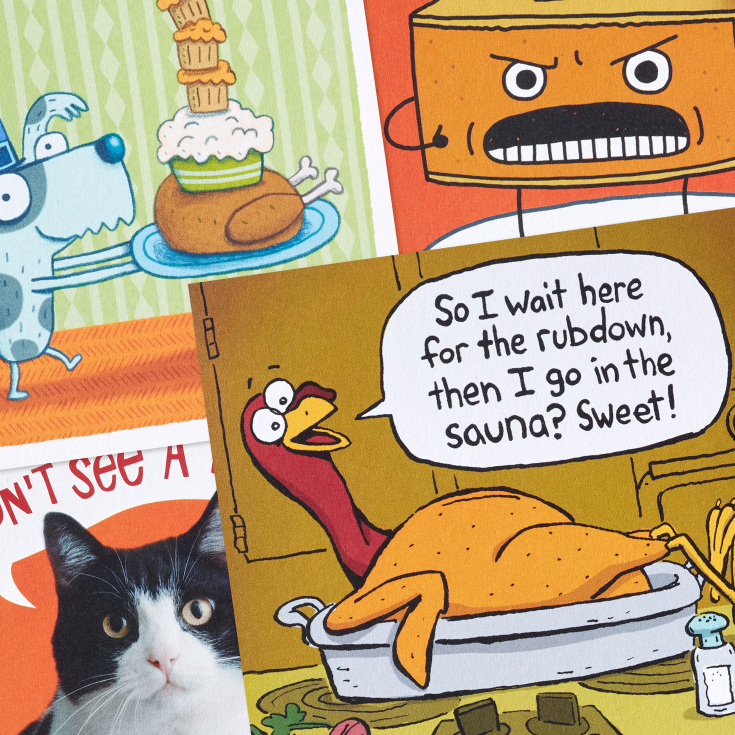Turkey and Pets Funny Thanksgiving Card Assortment Cover Detail image number 4