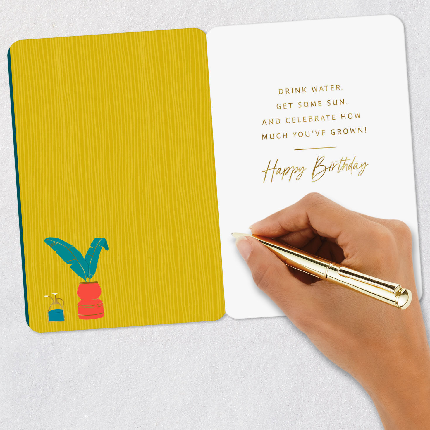 Treat Yourself Like a Plant Funny Birthday Card, , large image number 6