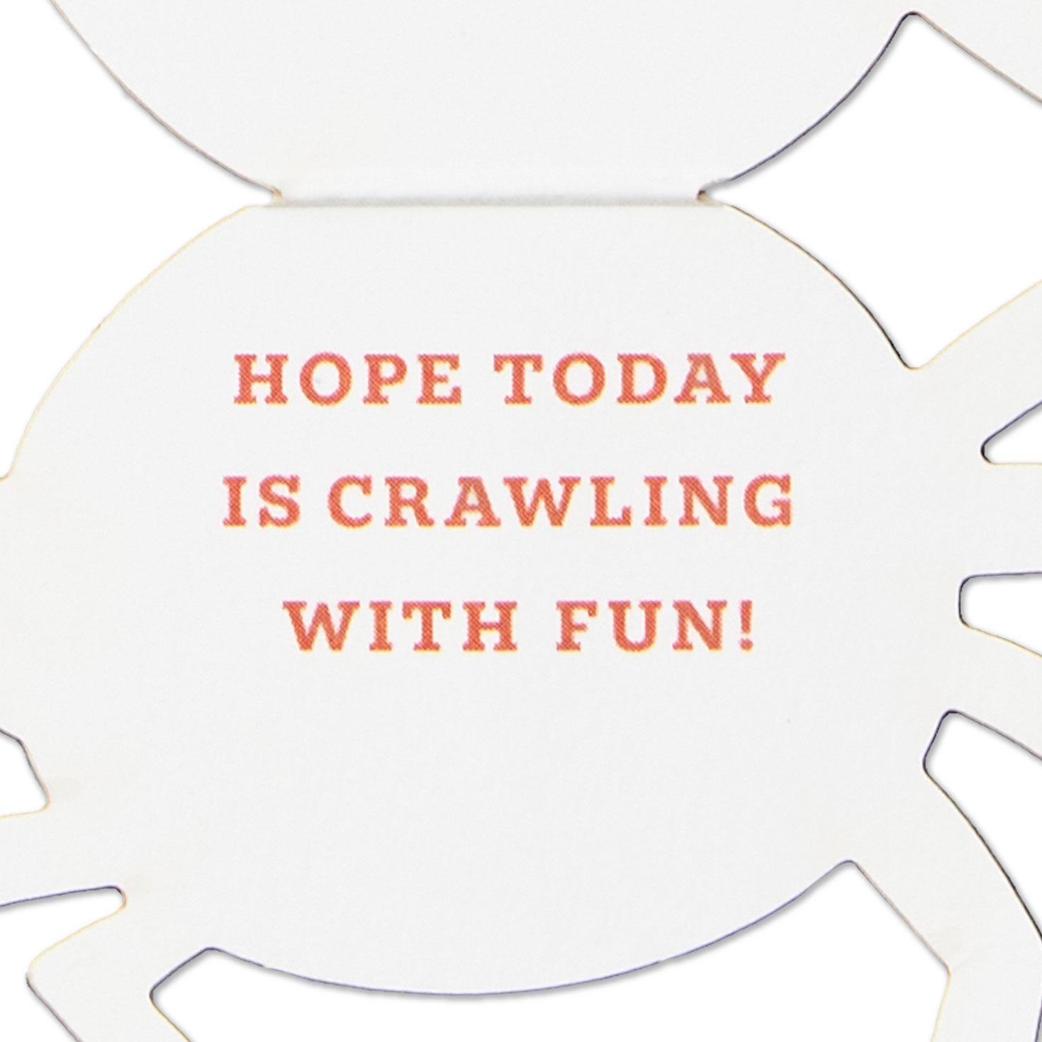 Spider in Web Paper Craft Halloween Card Sentiment image number 2