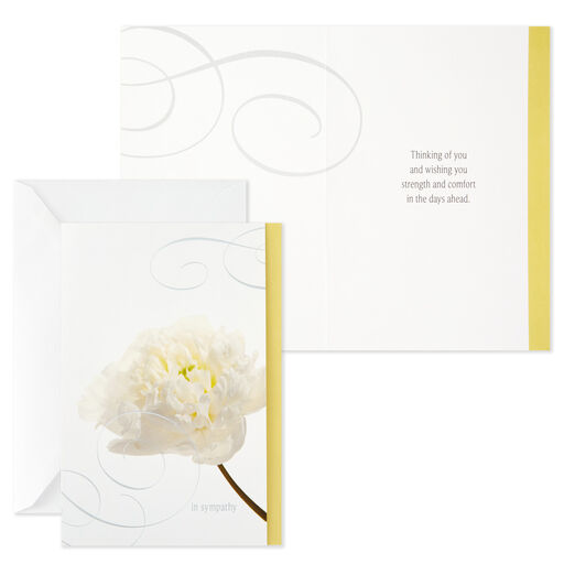 Flower Photos Assorted Sympathy Cards, Box of 12, 