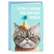 Judgmental Cat Funny Birthday Card
