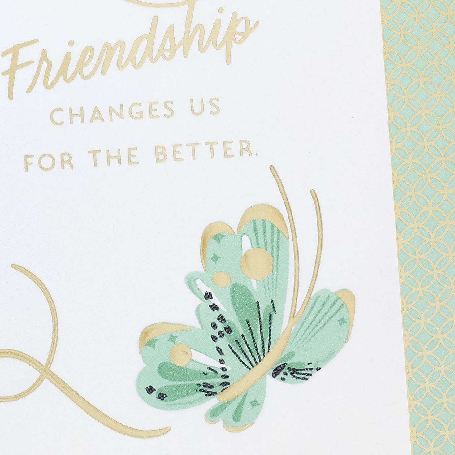 Pink Green Butterflies Friendship Birthday Card Card Front Detail image number 4