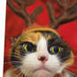 Cat With Antlers Be Merry, Dammit Funny Christmas Card, , large image number 4