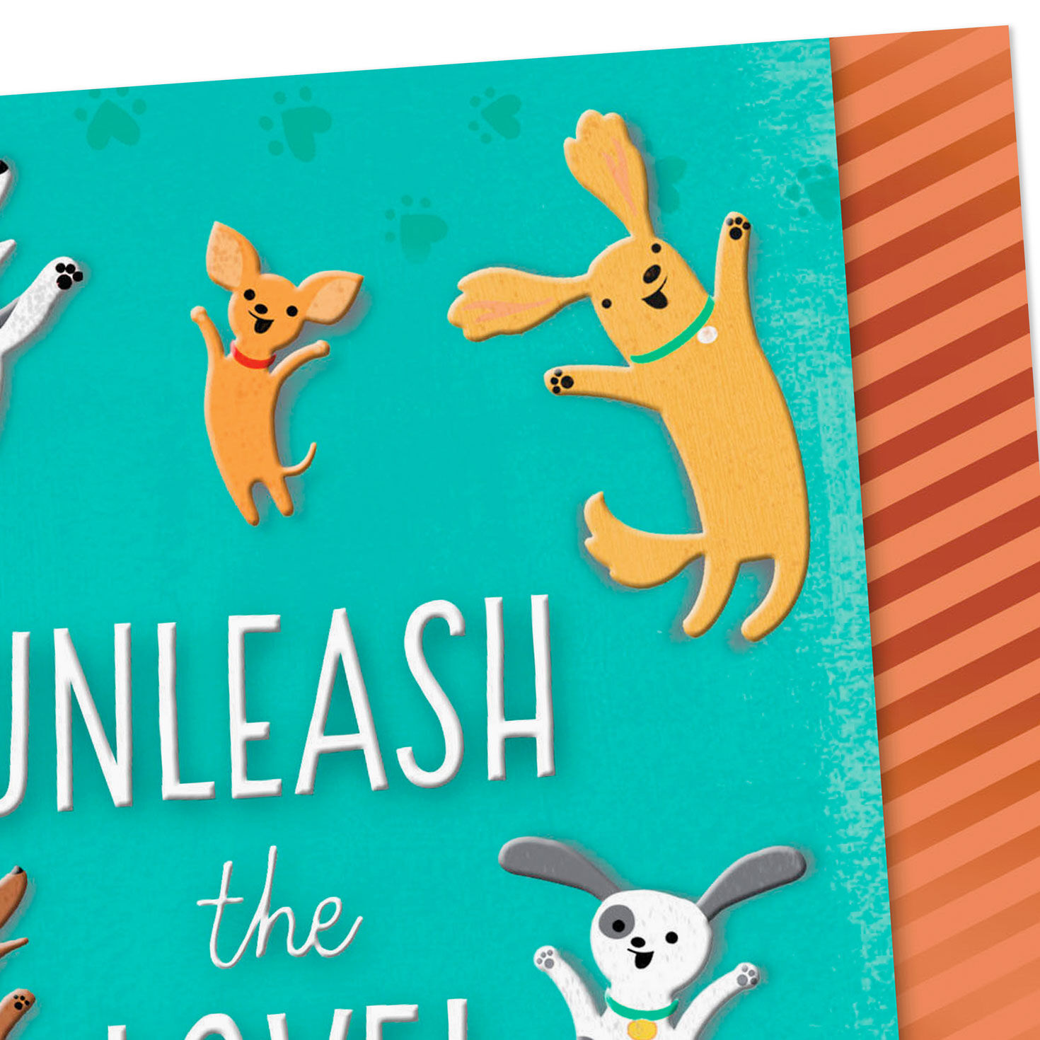 Playful Dogs New Pet Congrats Card Card Front Detail image number 4