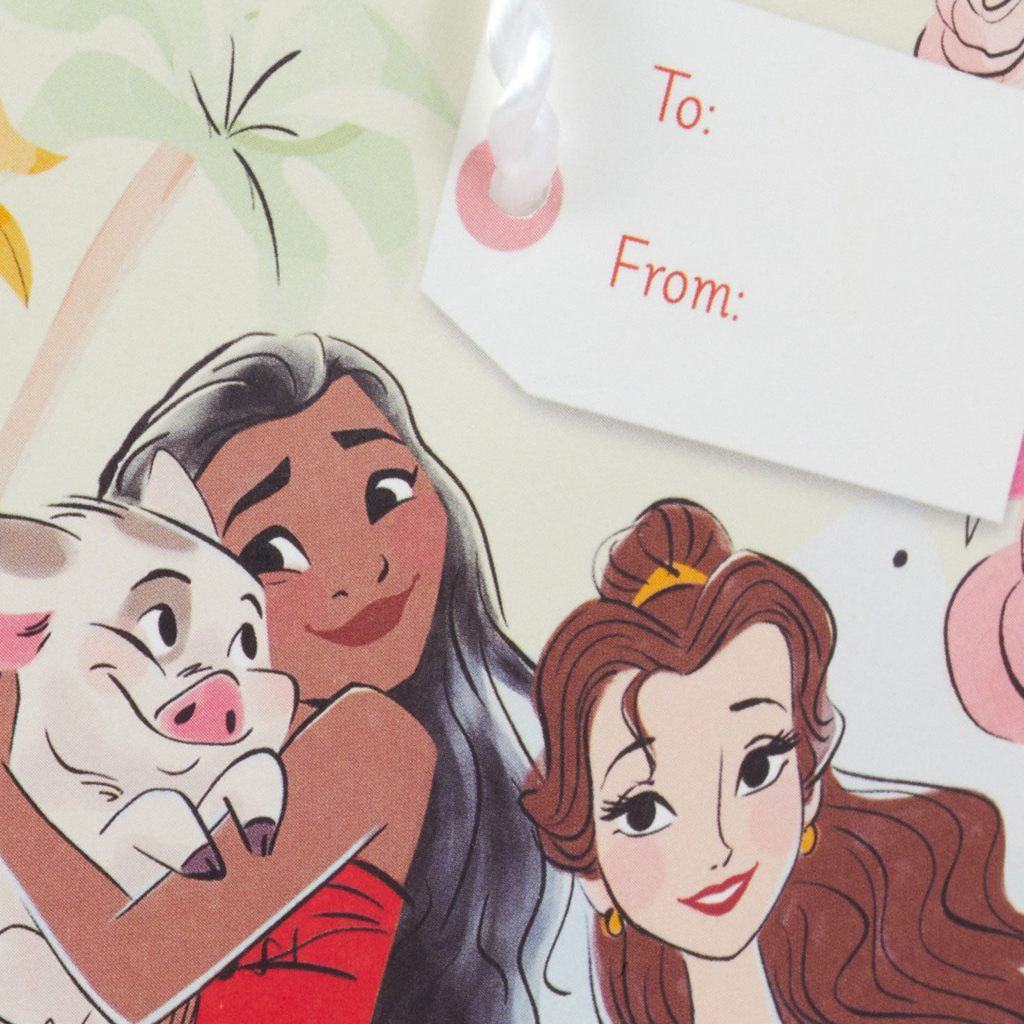 4.6" Disney Princesses Gift Card Holder Mini Bag for only USD 2.49 | Hallmark