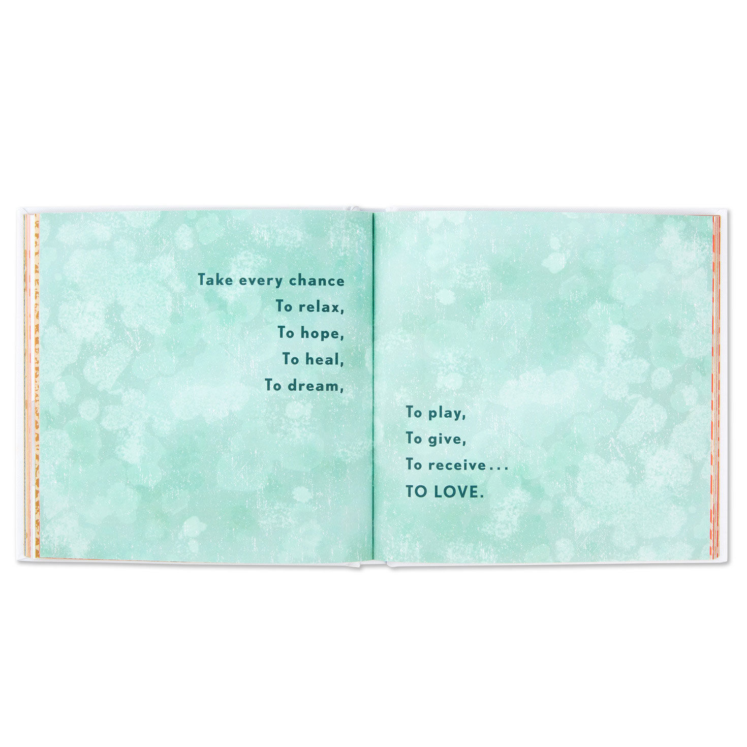 She Believed She Could So She Did Book inside spread image number 4