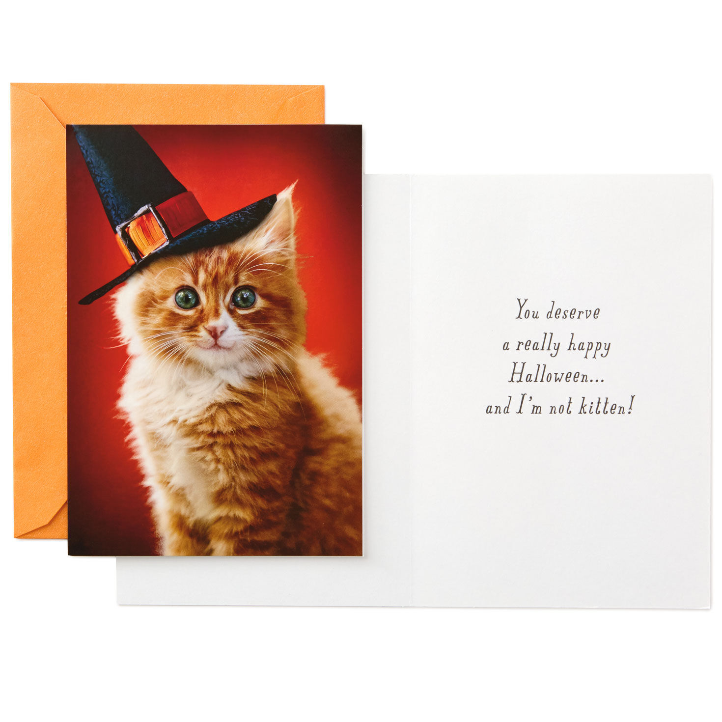 Pumpkin and Witch Halloween Card Assortment Card Front with Sentiment image number 5