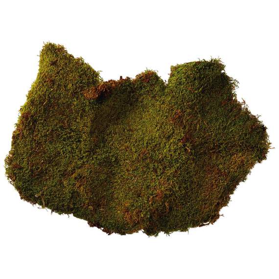 Decorative Moss, , large image number 1
