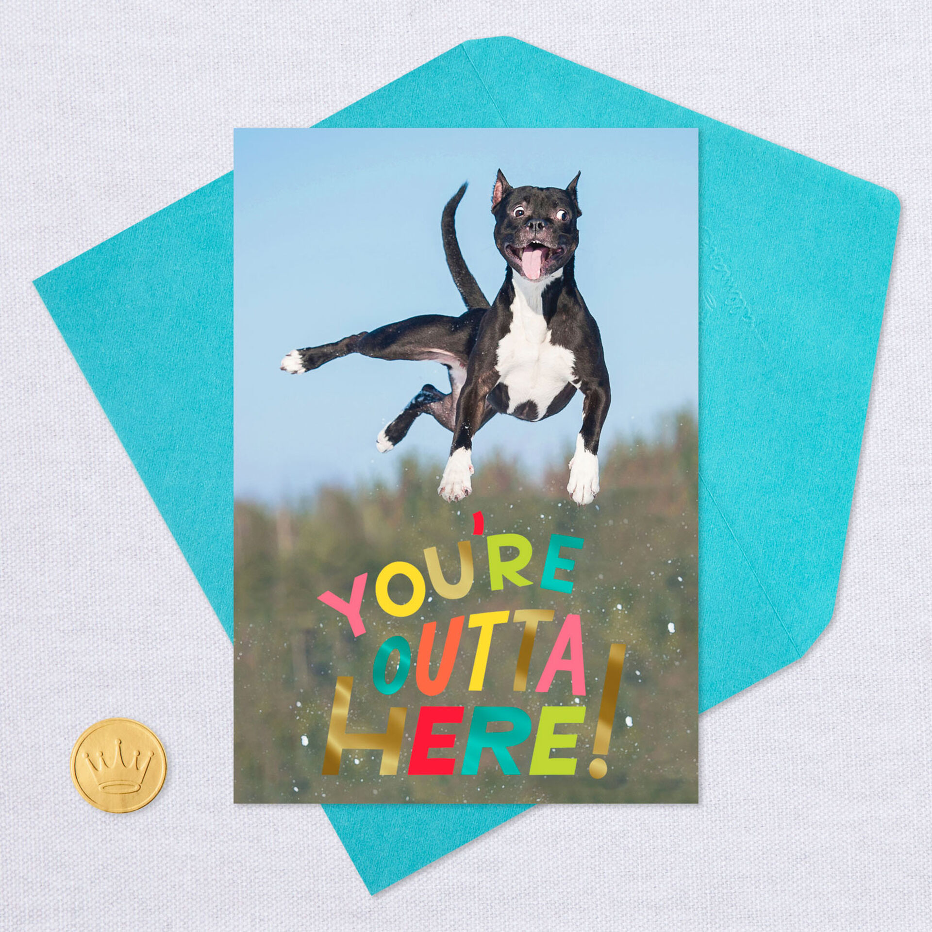 You're Outta Here Jumping Dog Funny Retirement Card - Greeting Cards
