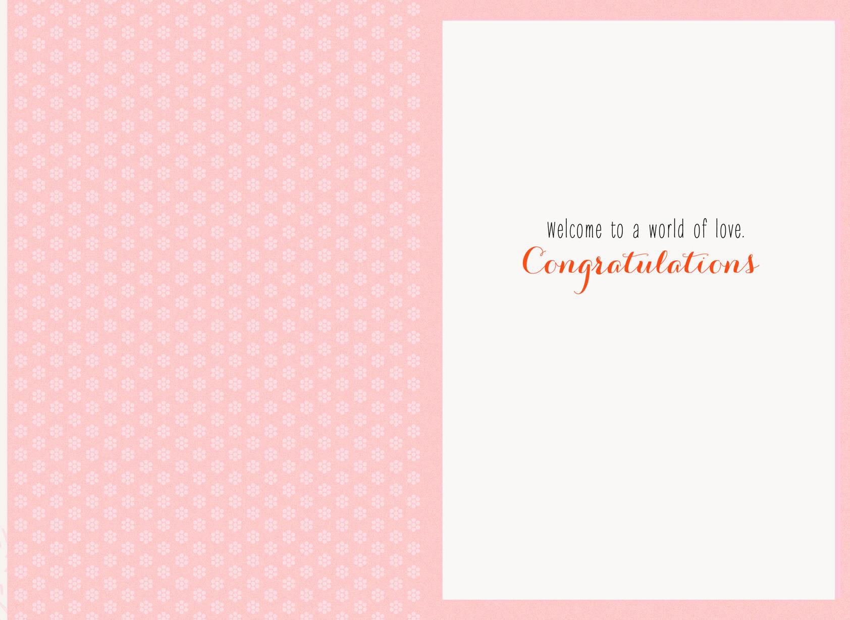 Sweet Pink Flamingos New Baby Card
