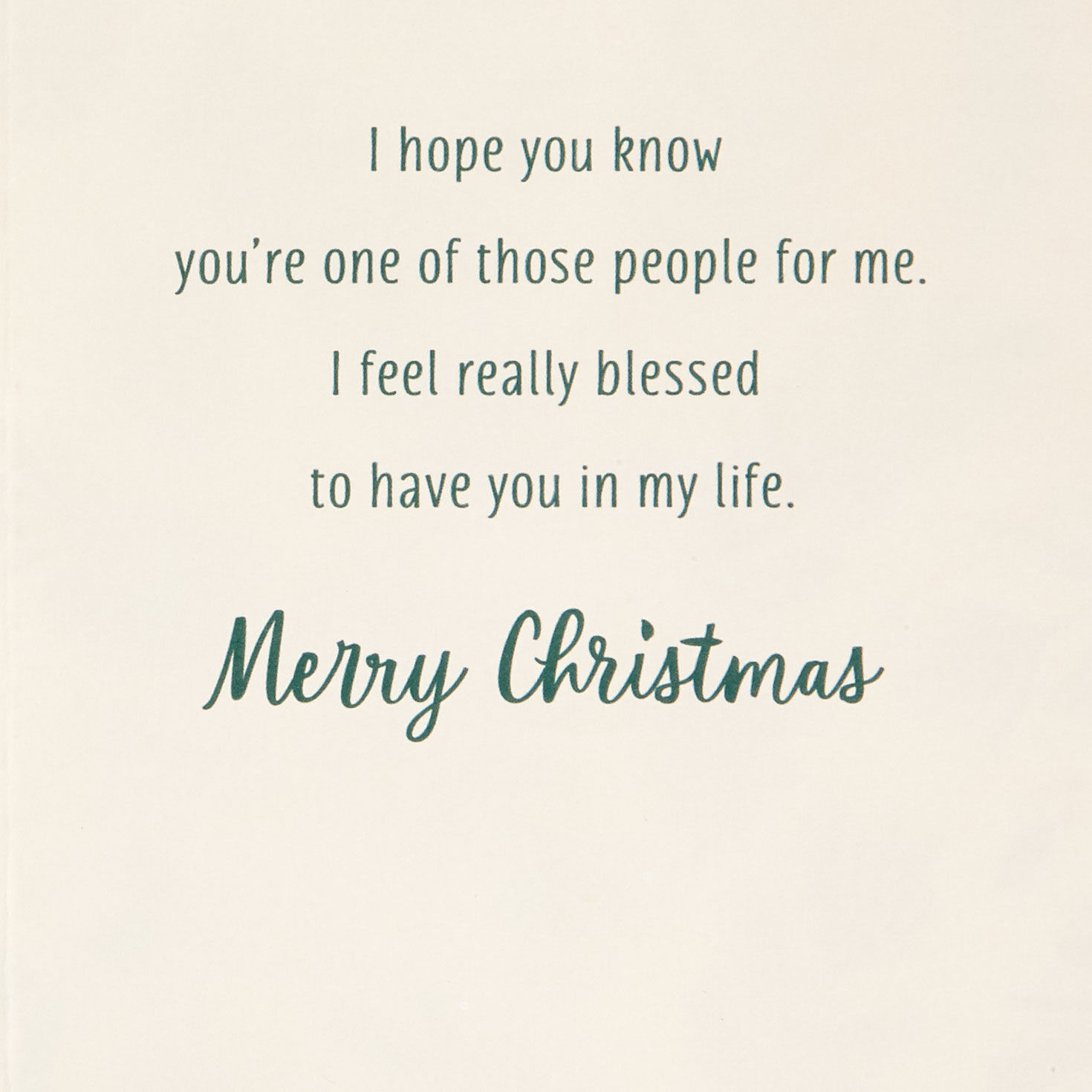 Elegant Pine Cones and Evergreen Sprigs Christmas Card Sentiment image number 3