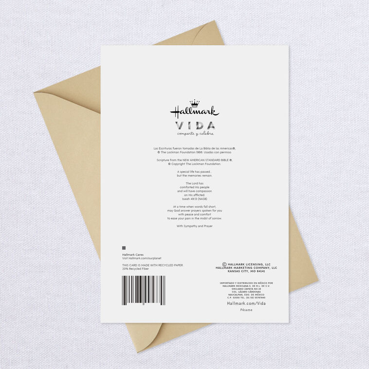 Peace and Comfort Religious Spanish-Language Sympathy Card, , large image number 8