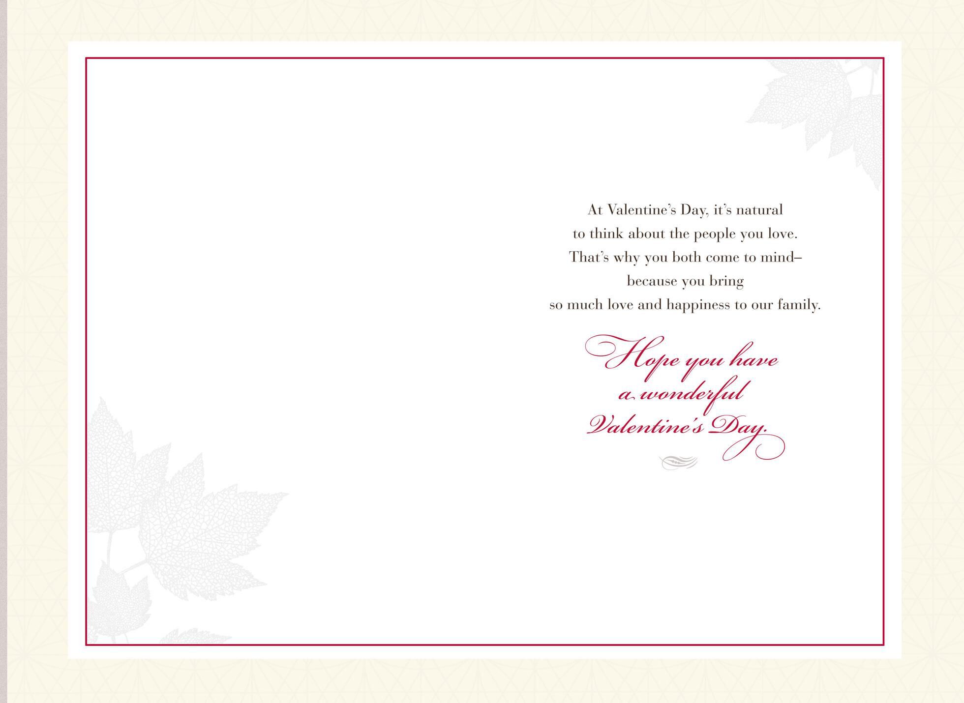 To a Wonderful Nephew and His Wife Valentine's Day Card