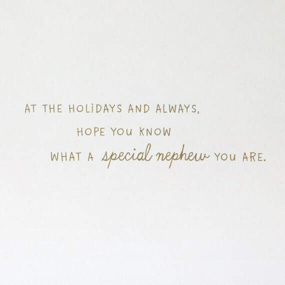 You're a Special Person Christmas Card for Nephew, , large image number 2