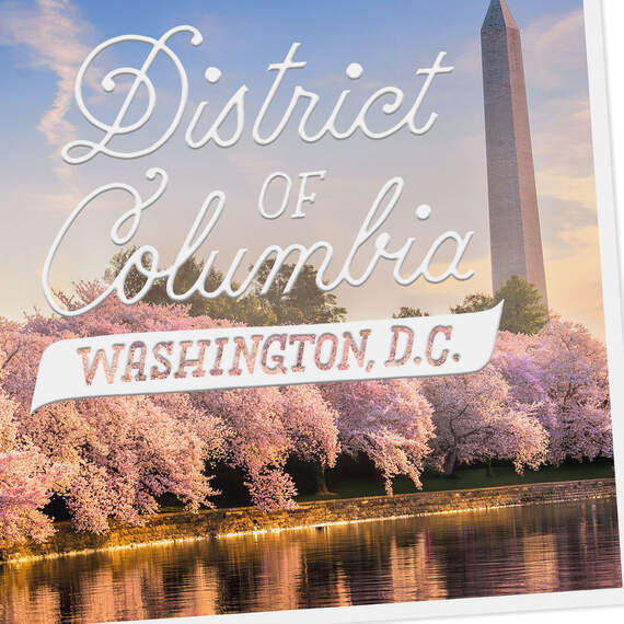 Photograph of Washington, D.C. in the Spring Blank Card, , large image number 3