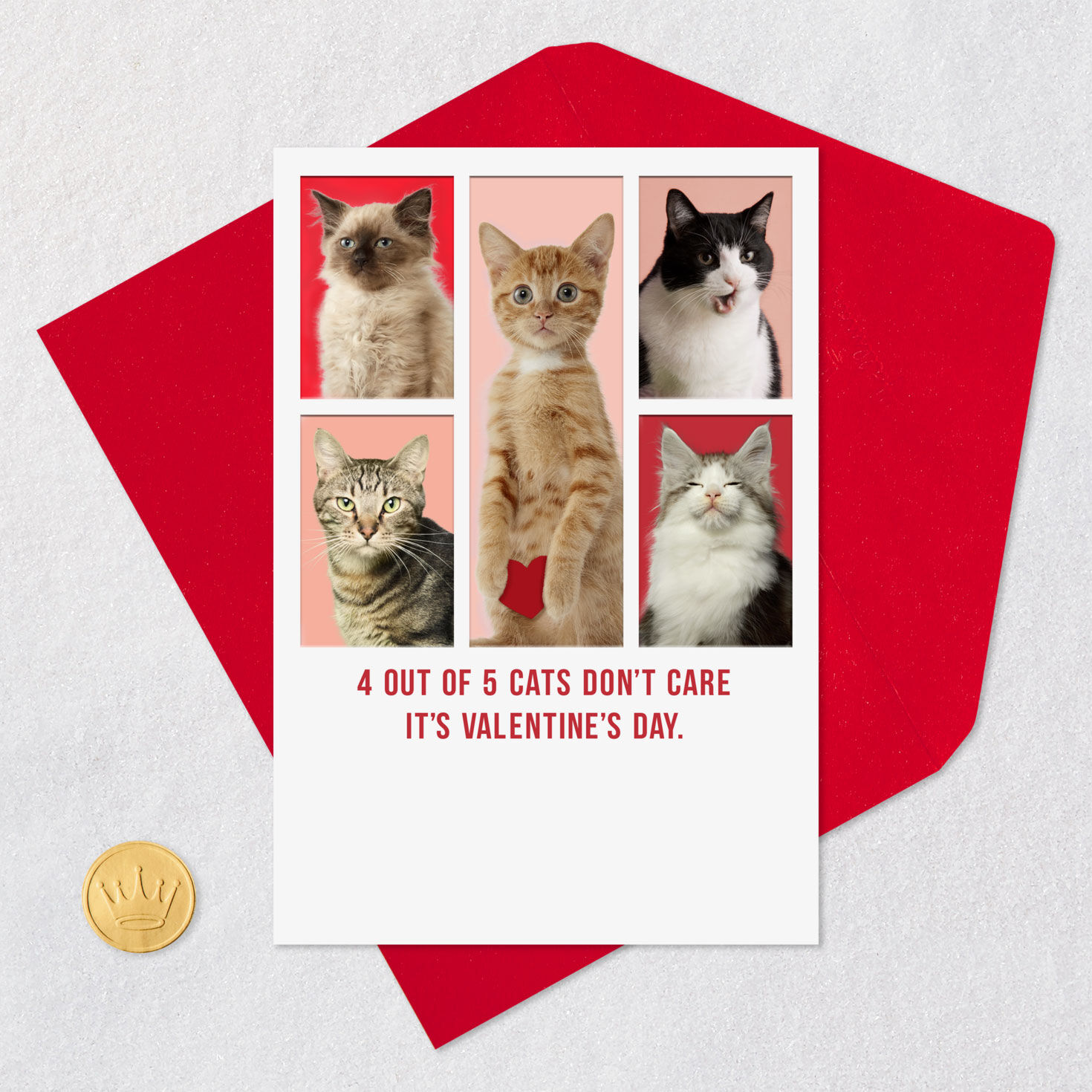 Cute Cat Photo Grid Funny Valentine's Day Card Card Front with Envelope and Gold Seal image number 5