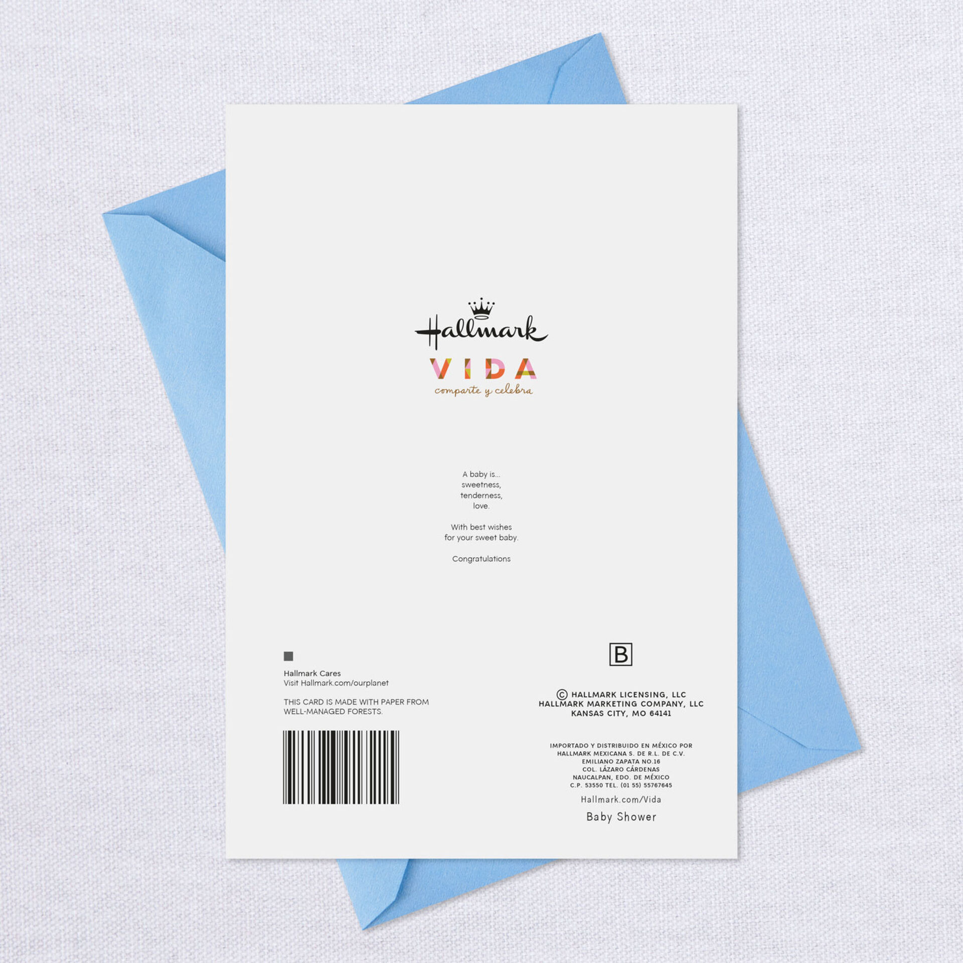 Teddy Bear Umbrellas Spanish Language New Baby Card Greeting