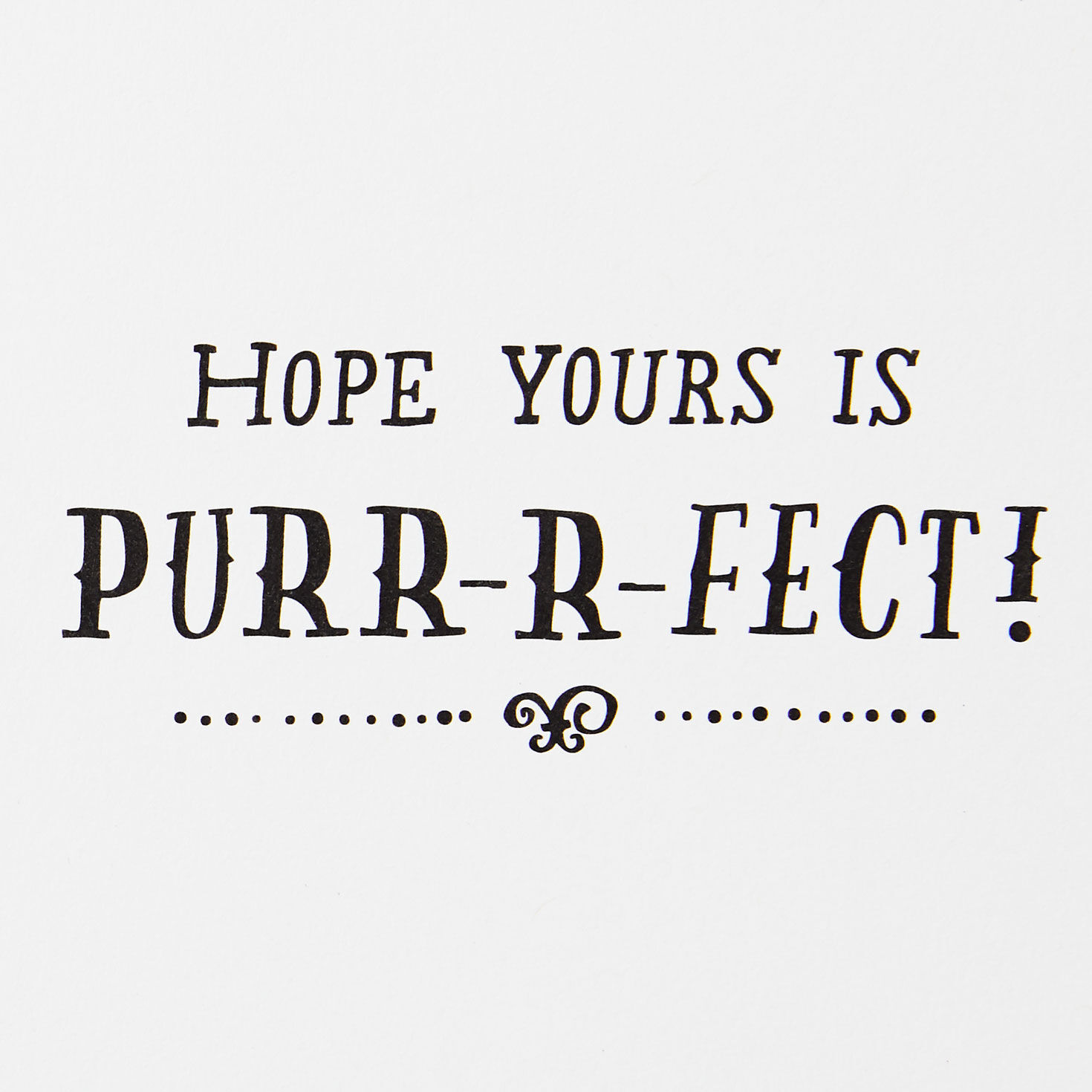 Black Kitten With Pumpkins Halloween Cards, Pack of 6, , large image number 4