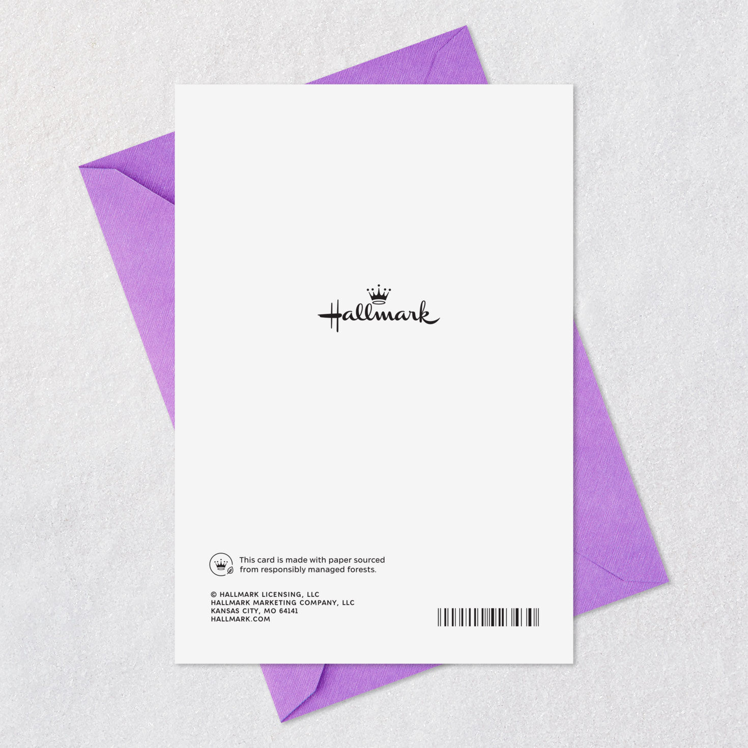 So Much to Celebrate Birthday Card, , large image number 8