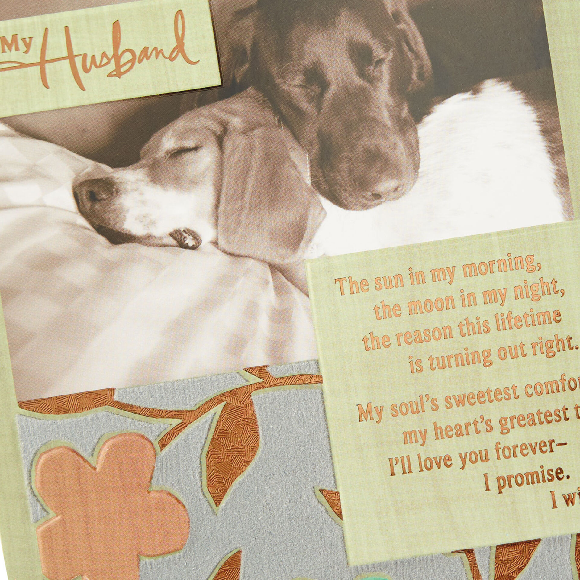 Two Dogs Grateful for Your Love Anniversary Card for Husband - Greeting