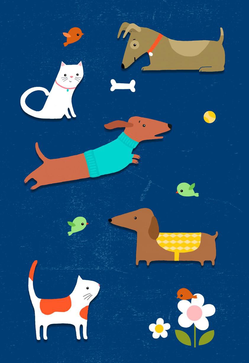 Inquisitive Dogs and Cats Blank Thinking of You Card