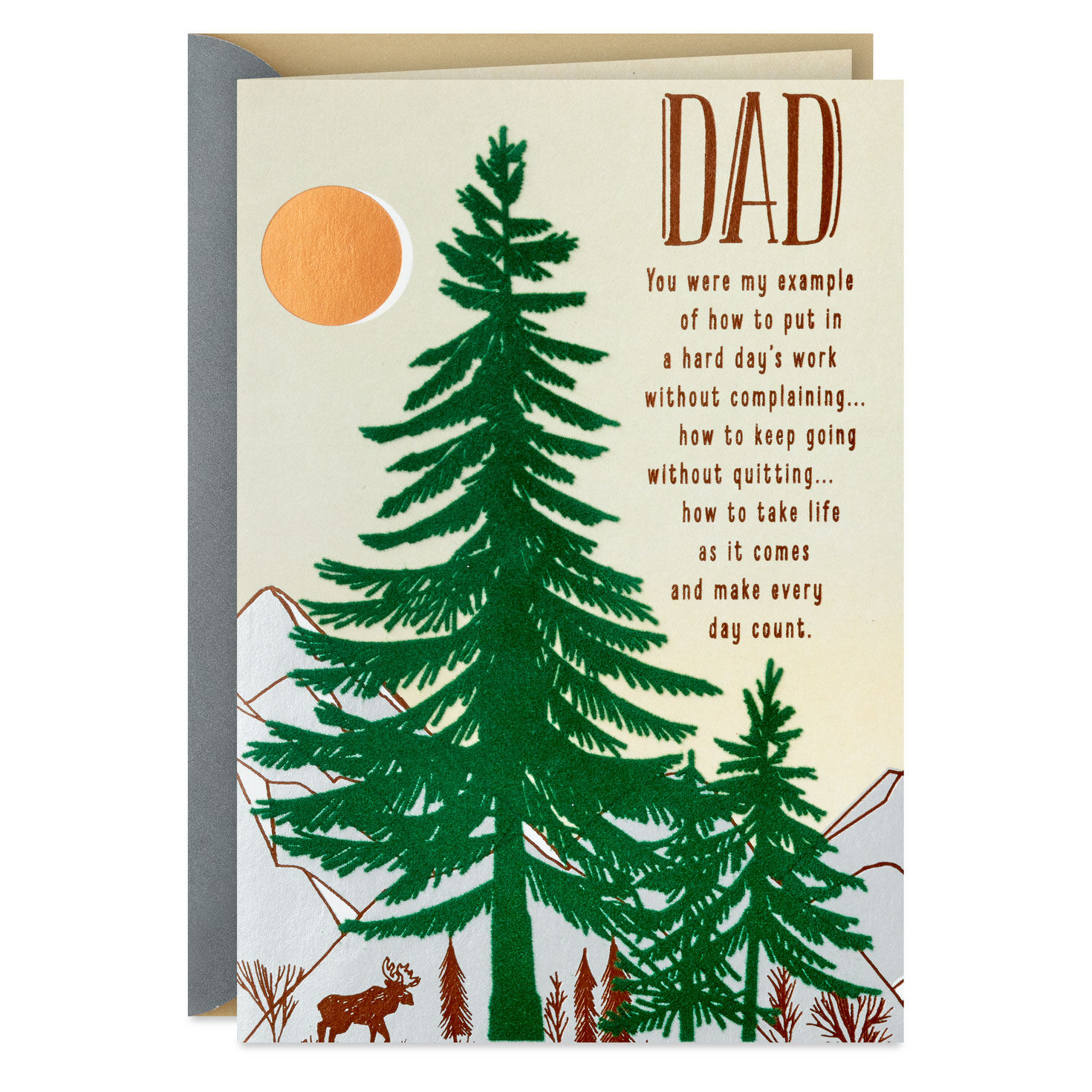 All the Reasons I'm Proud and Grateful Birthday Card for Dad for only USD 5.59 | Hallmark