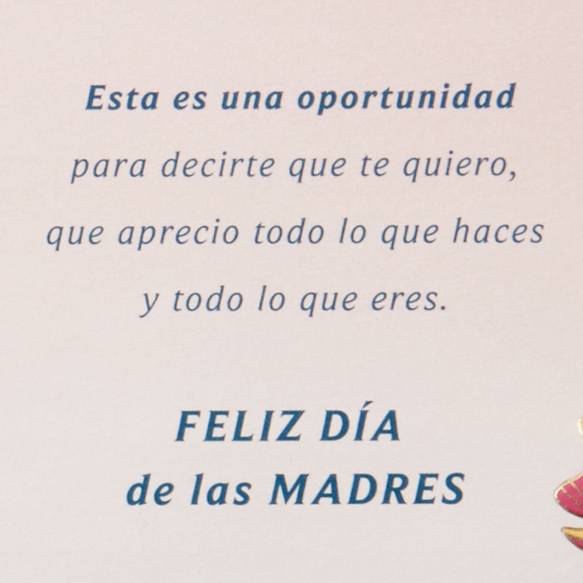 A Time to Thank You SpanishLanguage Mother's Day Card From Daughter
