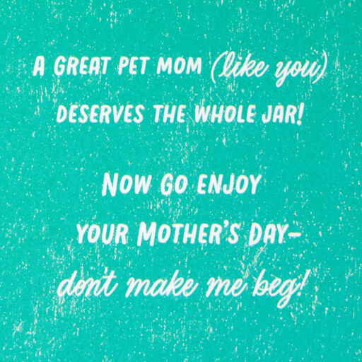 You're a Great Pet Mom Funny Mother's Day Card From the Pet, 