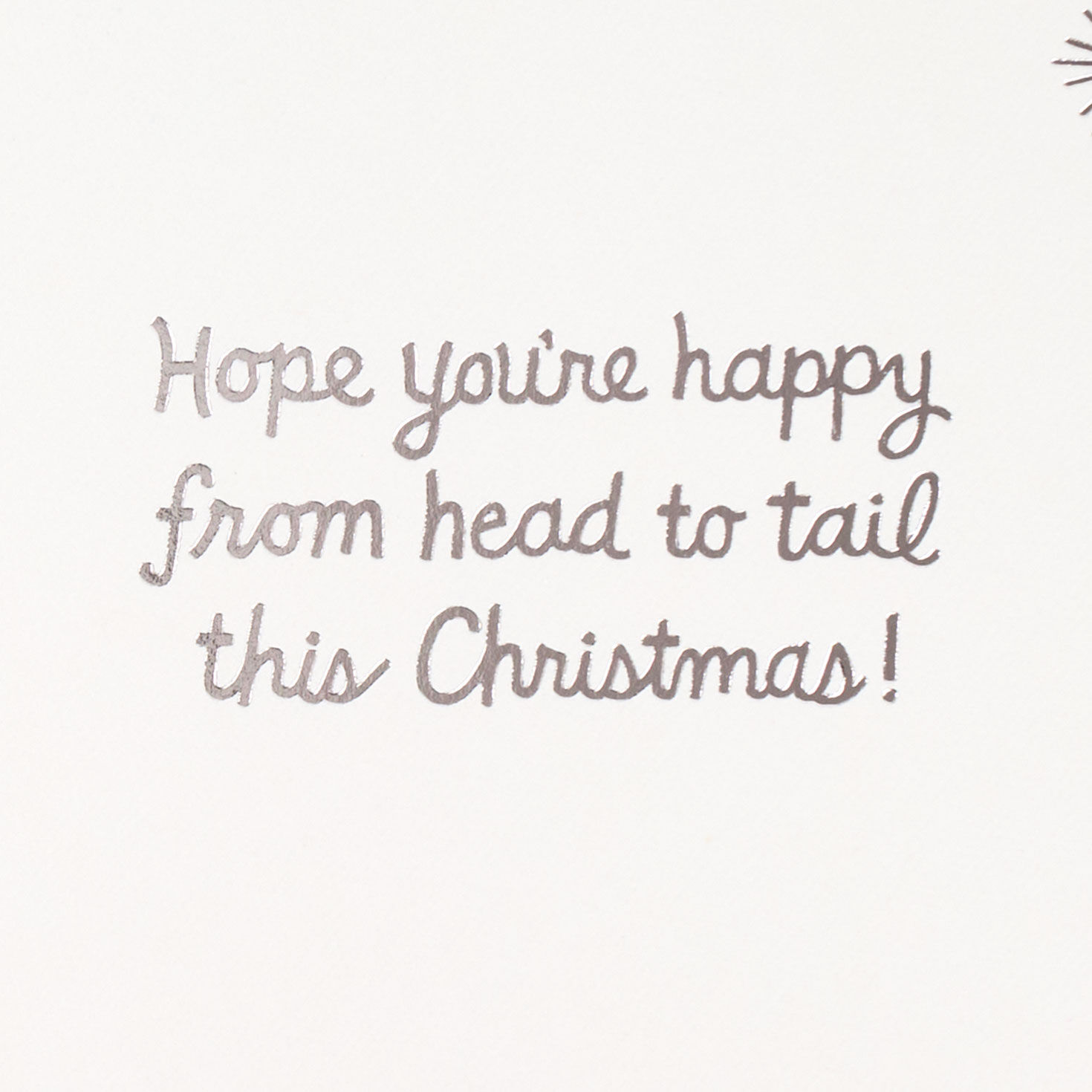 English Bulldog in Santa Hat Christmas Card Sentiment image number 2