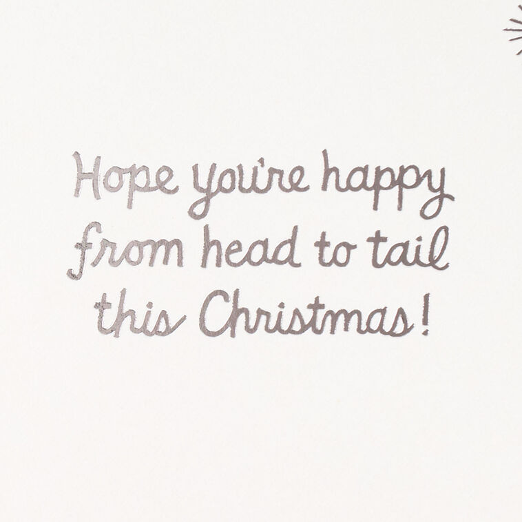 English Bulldog in Santa Hat Christmas Card Sentiment image number 2