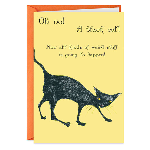 Funny Birthday Cards Shoebox Cards Hallmark