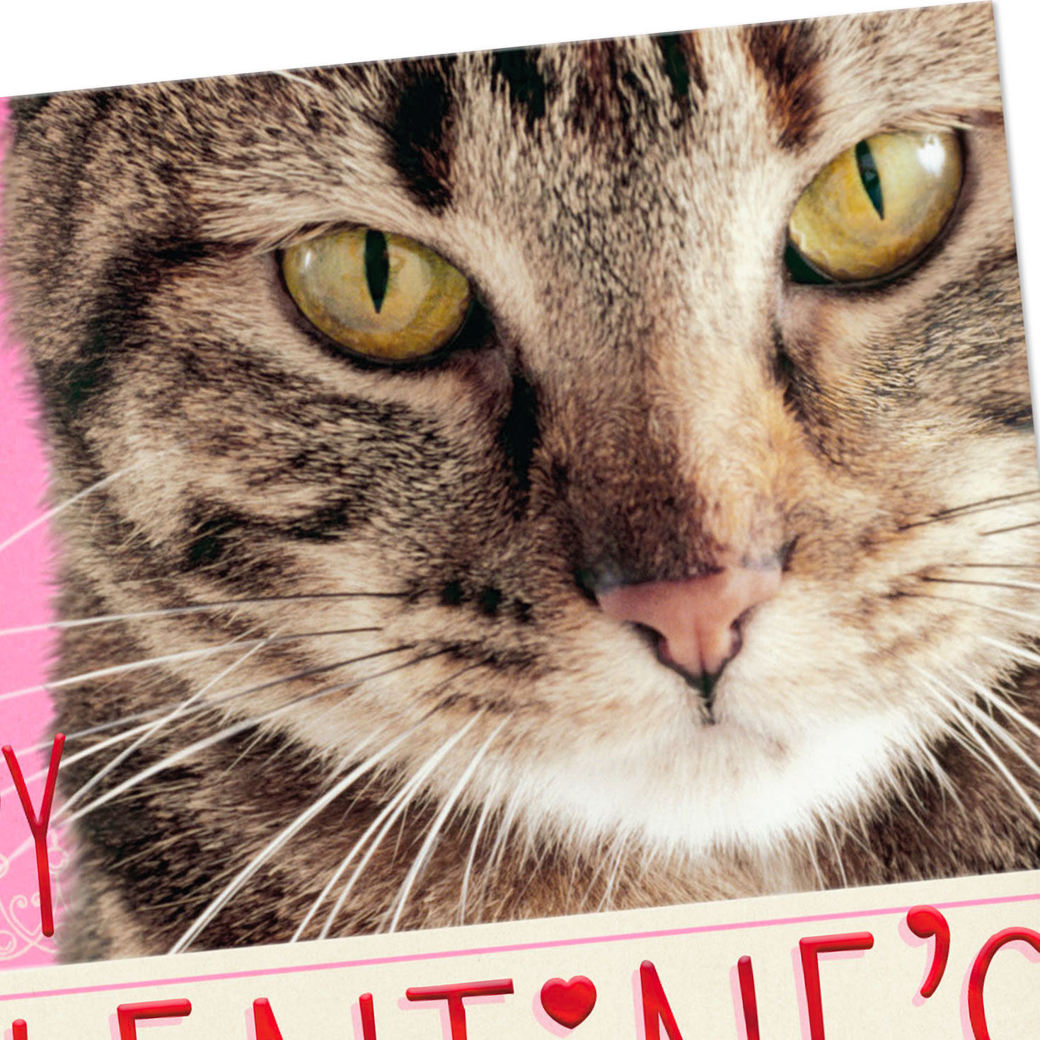 Cute Kitty Funny Valentine's Day Card From Cat Card Front Detail image number 4