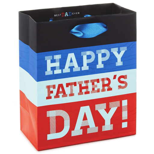 Download Father S Day Gift Bags Hallmark