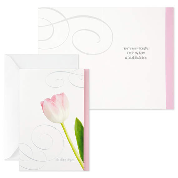 Flower Photos Assorted Sympathy Cards, Box of 12, , large image number 4
