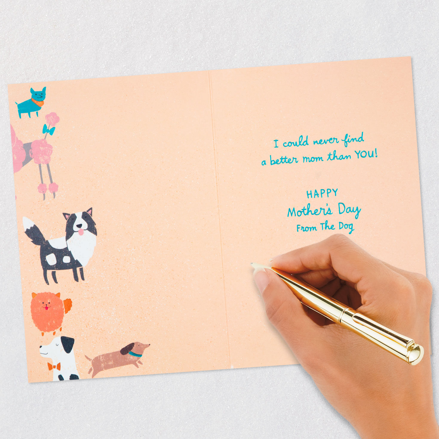 No Better Mom Than You Mother's Day Card From the Dog, , large image number 6