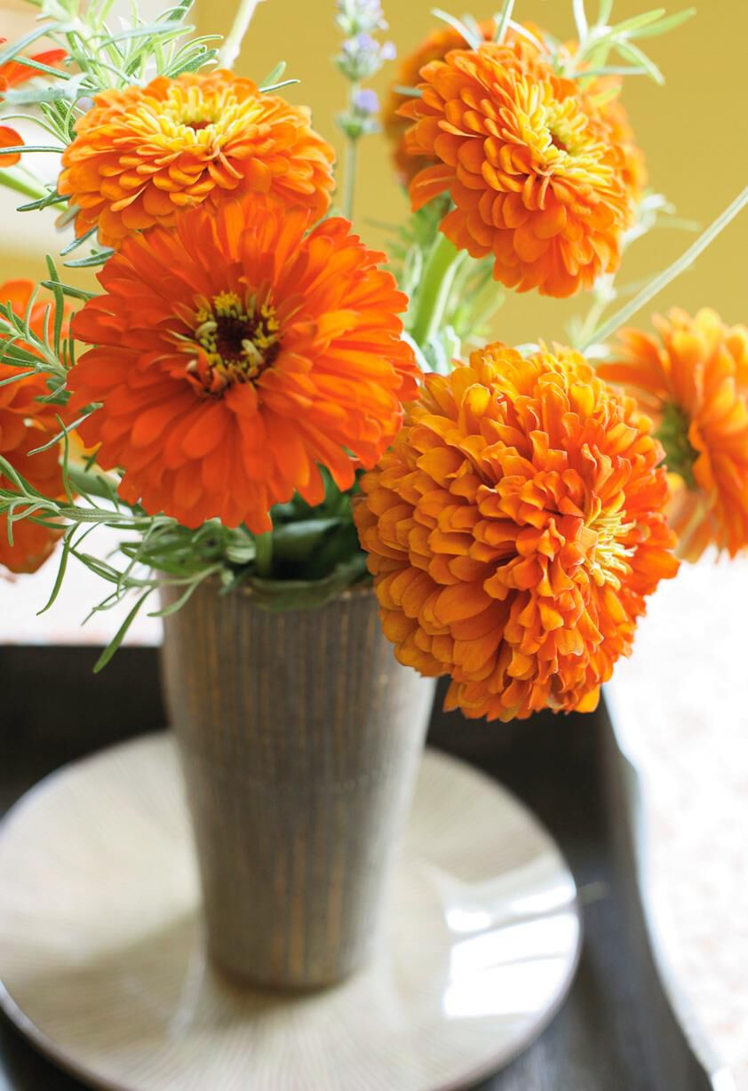 Vibrant Orange Flowers in Vase Blank Card - Greeting Cards - Hallmark