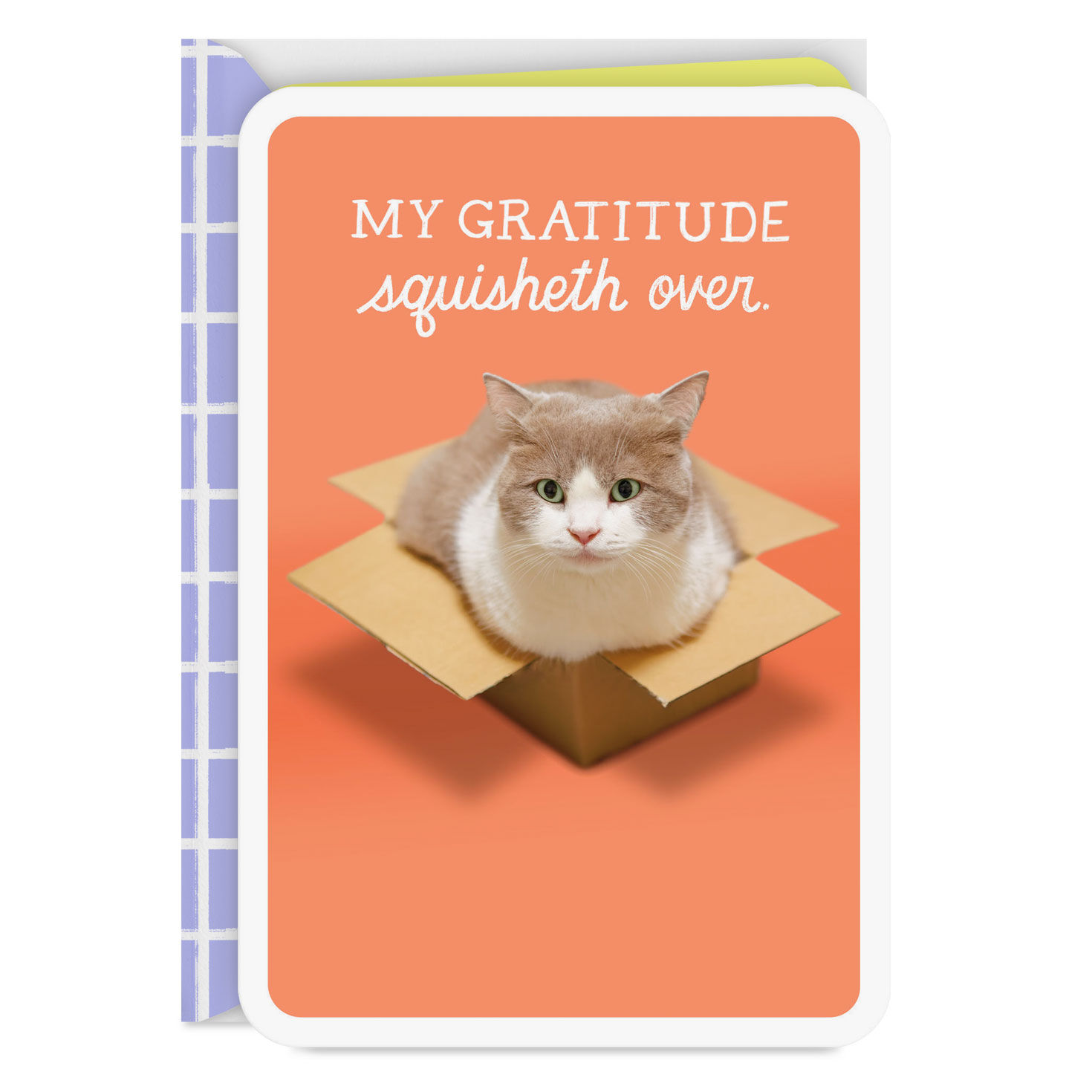 My Gratitude Squisheth Over Thank You Card