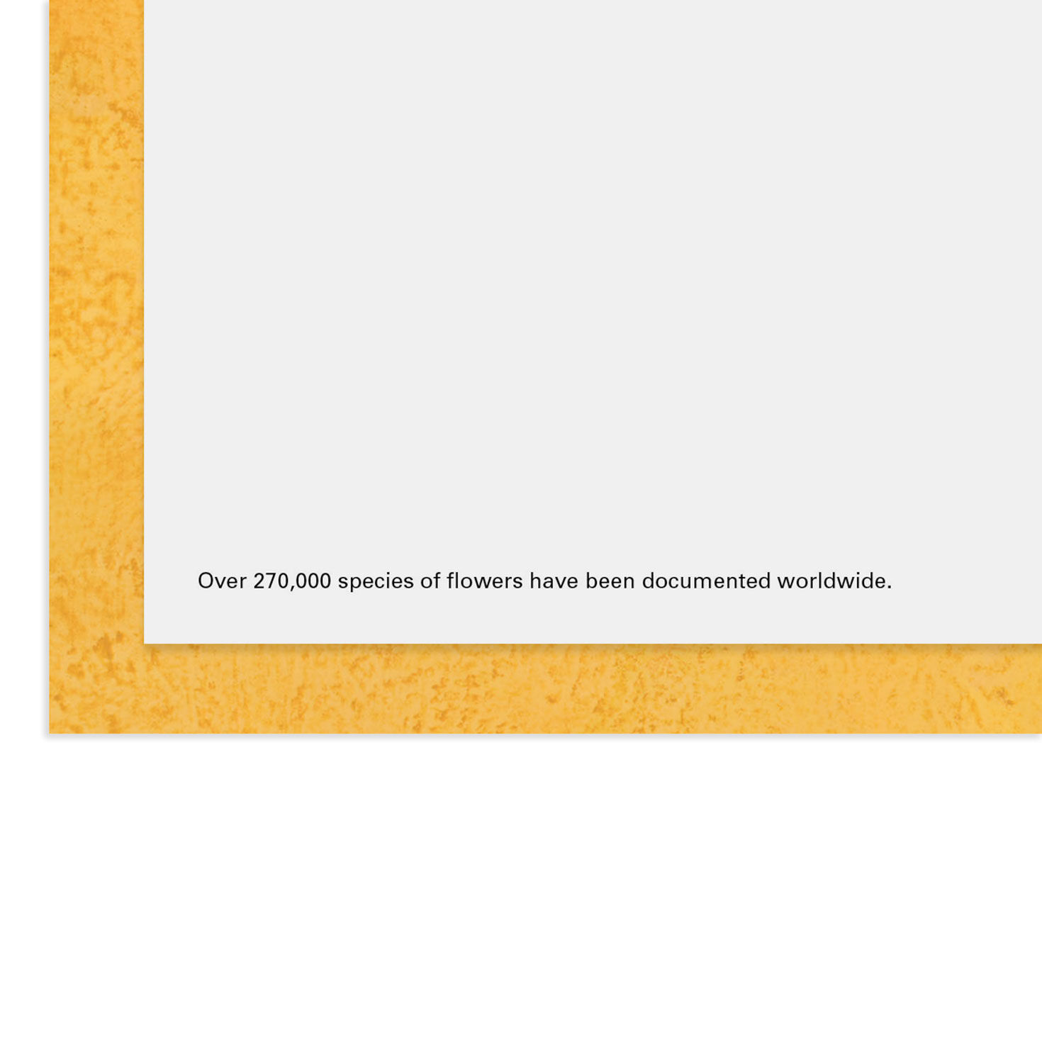 UNICEF Flowers All Kinds of Happy Birthday Card, , large image number 2