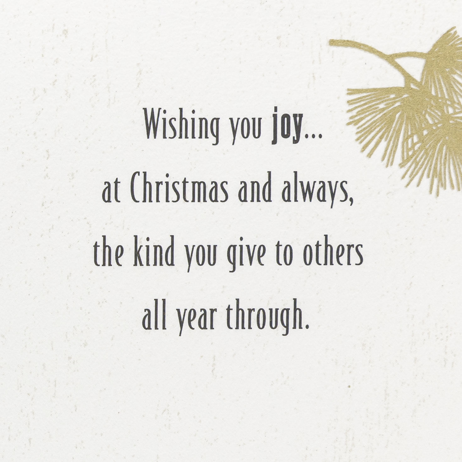 Poinsettias Daughter and Husband Christmas Card Sentiment image number 3