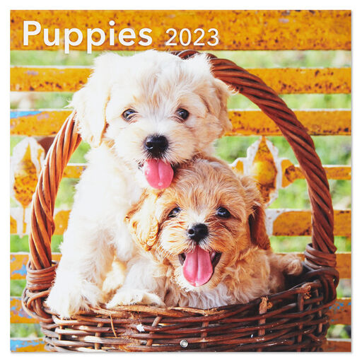 Puppies 2023 Wall Calendar, 12-Month, 