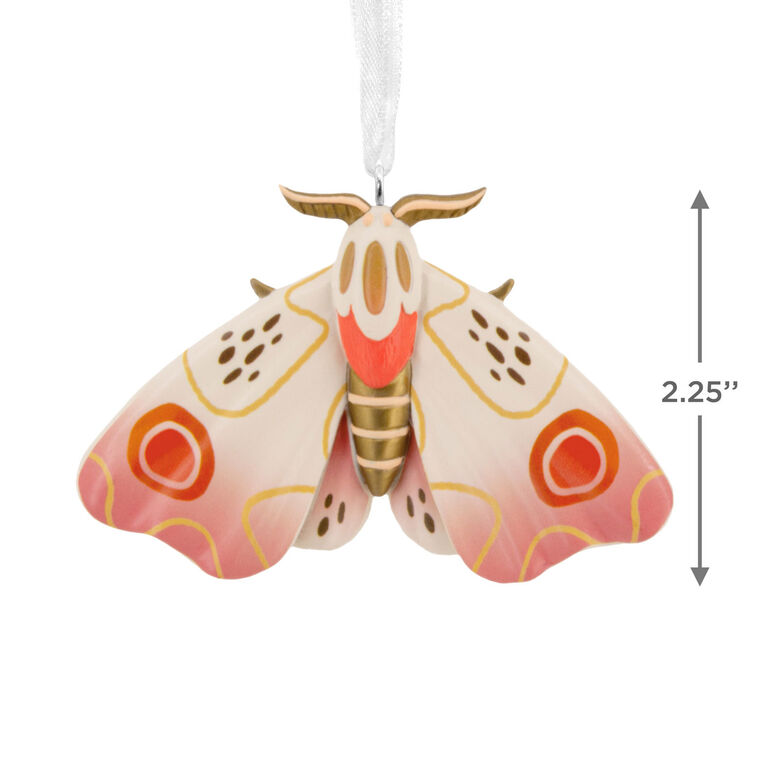 Colorful Moth Christmas Ornament measurement image number 3